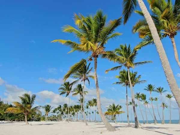 Escursioni imperdibili nel mediterraneo: scopri le tappe essenziali di una crociera da sogno